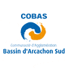 Logo miniature COBAS