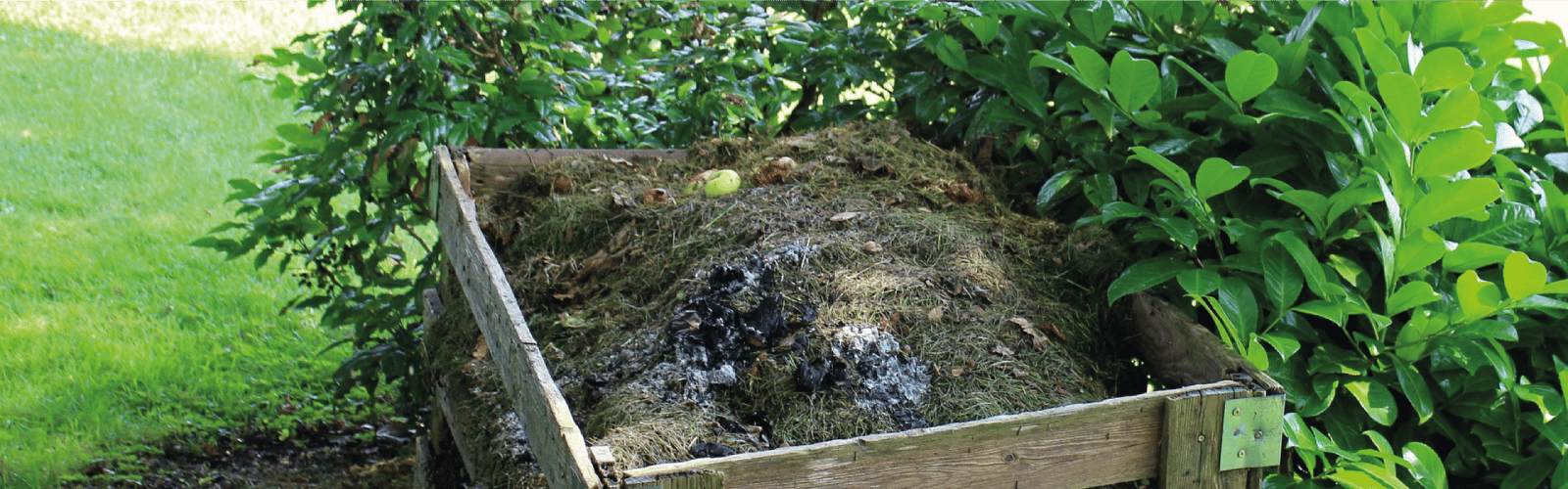 Compost