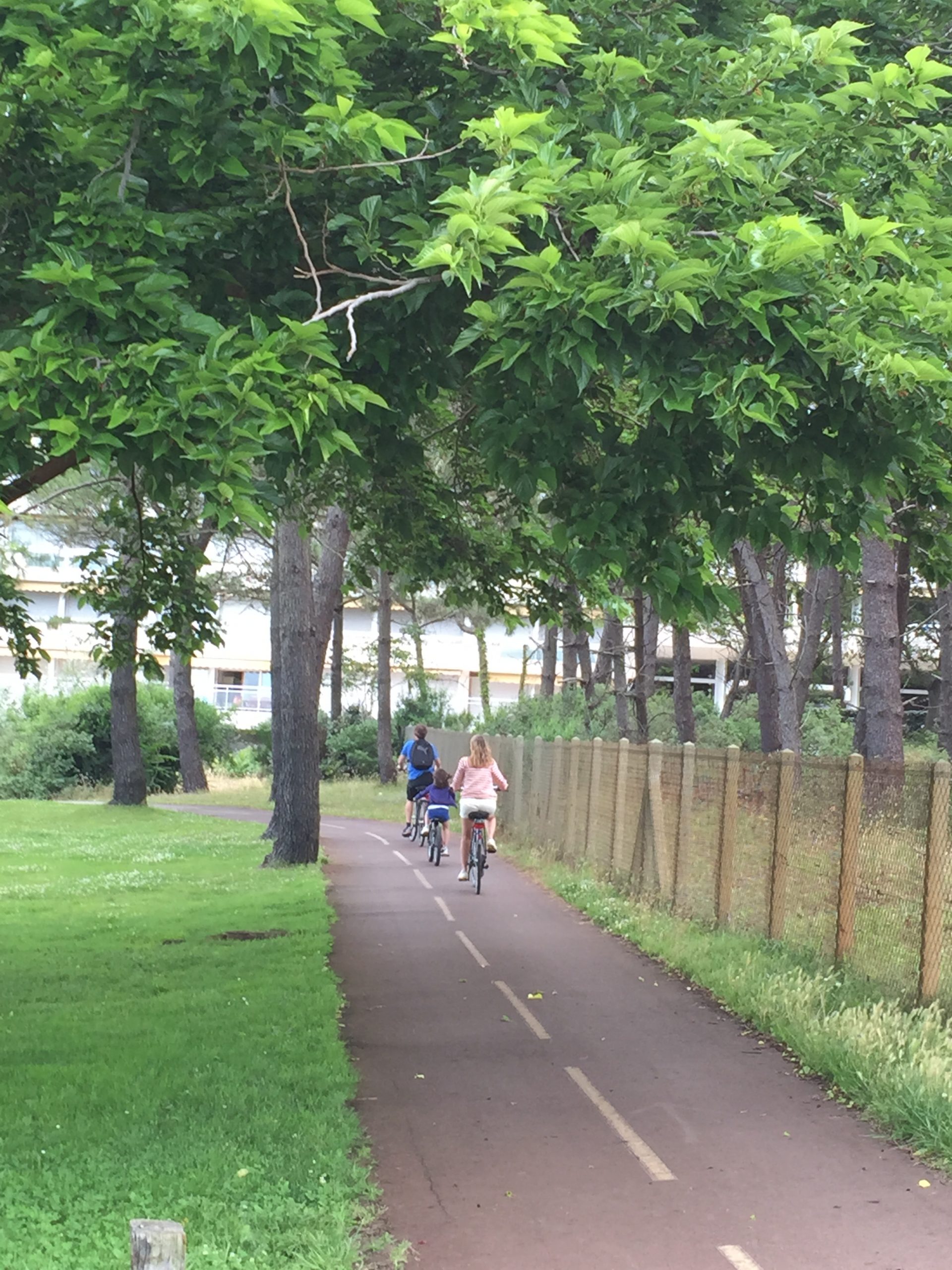 Photo piste cyclable